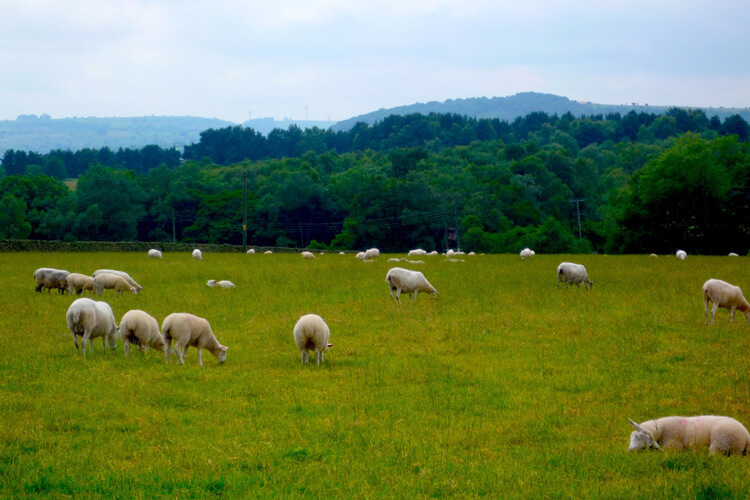 Packhorse Farm Campsite - Image 4 - UK Tourism Online