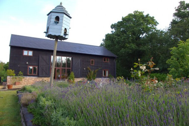 Anstey Grove Barn - Image 1 - UK Tourism Online