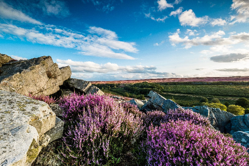UK Tourism Online | Celebrating 70 years of the North York Moors National Park