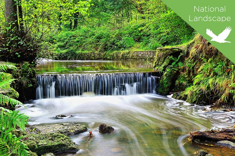 Hotels, Guest Accommodation and Self Catering in and around The Forest of Dean - England on UK Tourism Online