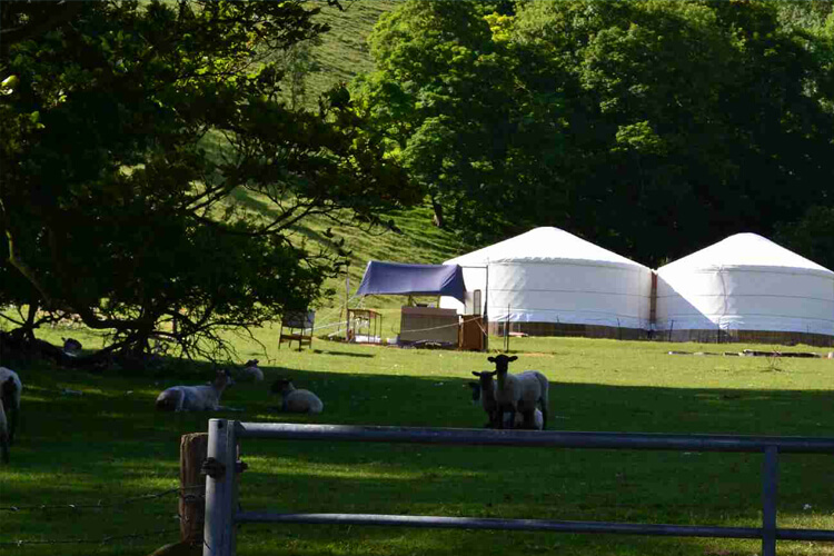 Firle Yurts - Image 3 - UK Tourism Online