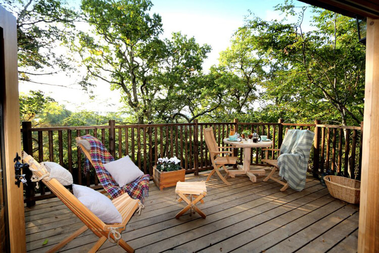 Hoots Treehouses - Image 5 - UK Tourism Online