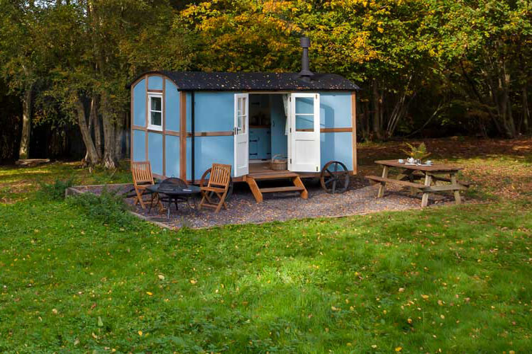 Wild Woodland Retreat   - Image 1 - UK Tourism Online