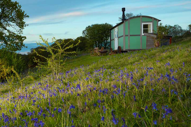 Wild Woodland Retreat   - Image 2 - UK Tourism Online