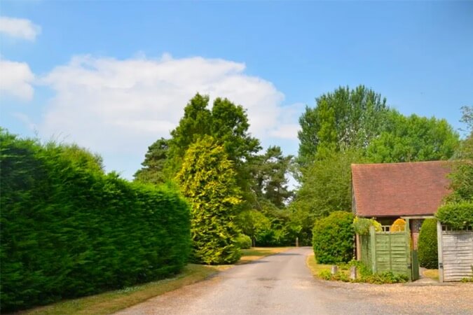 Honeysuckle Cottage Thumbnail | Chichester - West Sussex | UK Tourism Online