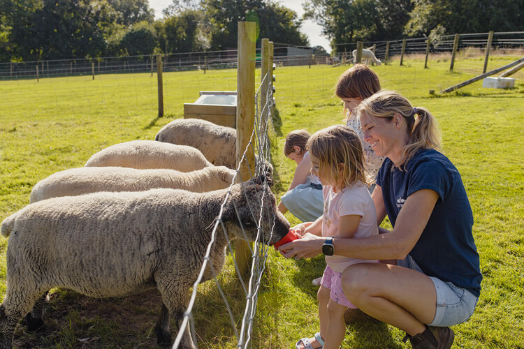 Glynn Barton Cottages - Image 4 - UK Tourism Online