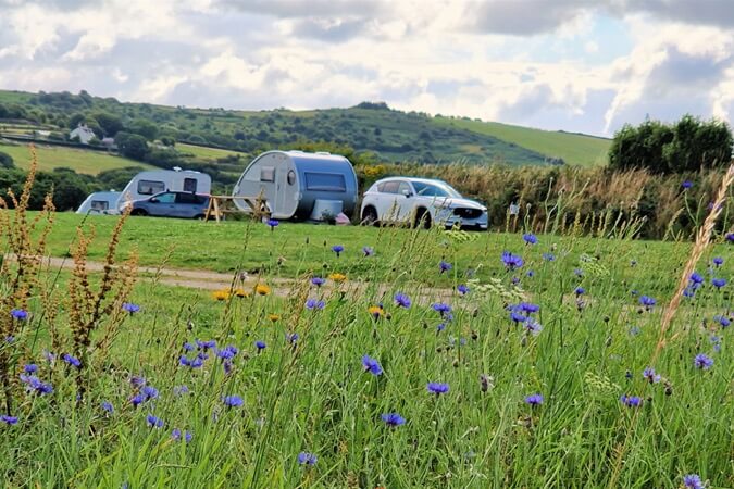 The Camping Field Thumbnail | Bodmin - Cornwall | UK Tourism Online