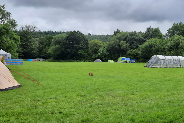 Lakemoor Campsite - Image 2 - UK Tourism Online