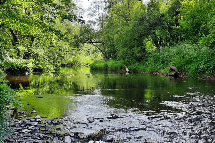 Lakemoor Campsite - Image 3 - UK Tourism Online