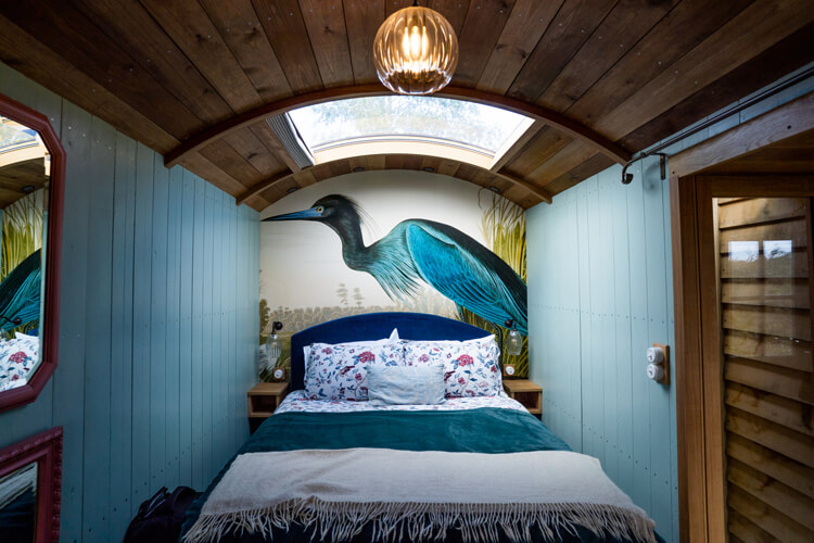 Dorset Forest Garden Glamping - Image 4 - UK Tourism Online