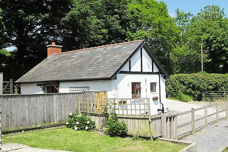 Brynhyfryd Cottage - Image 1 - UK Tourism Online