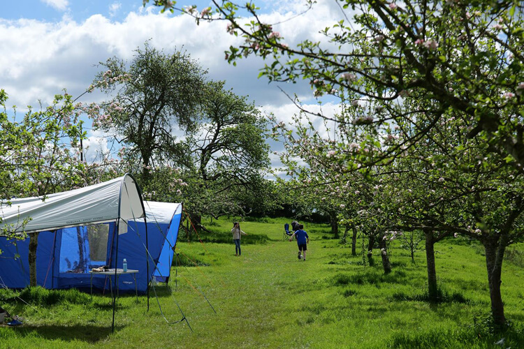 Lower Porthamel Organic Farm - Image 1 - UK Tourism Online