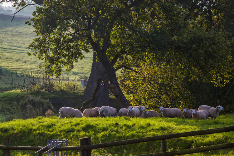 Hardwicke Farm slide 4